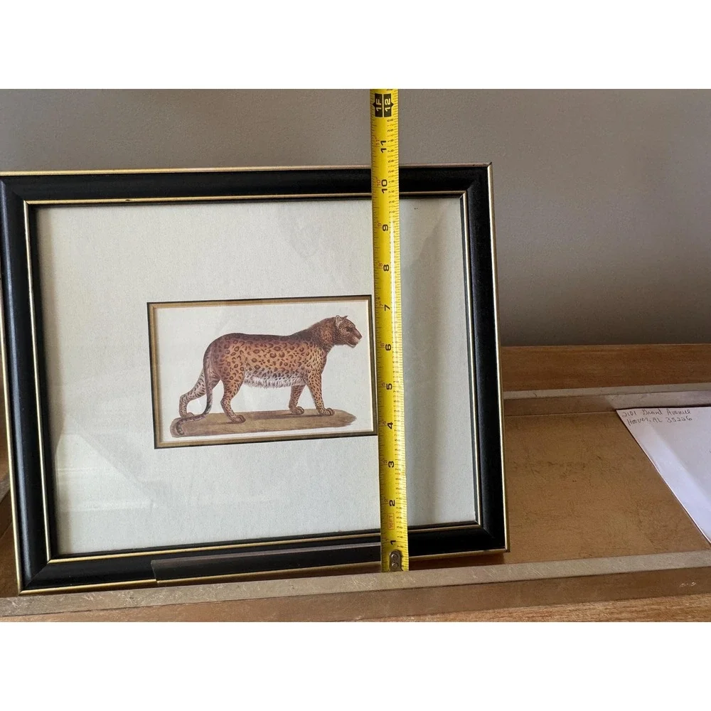 Vintage Black and Gold Animal Leopard Print Framed 12 x 10